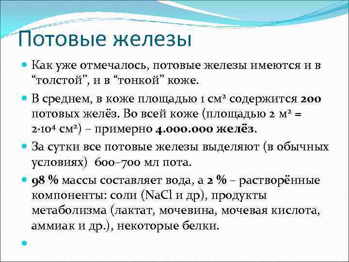 Потовые железы Как уже отмечалось, потовые железы имеются и в “толстой”, и в “тонкой”