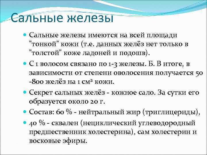 Сальные железы имеются на всей площади "тонкой" кожи (т. е. данных желёз нет только