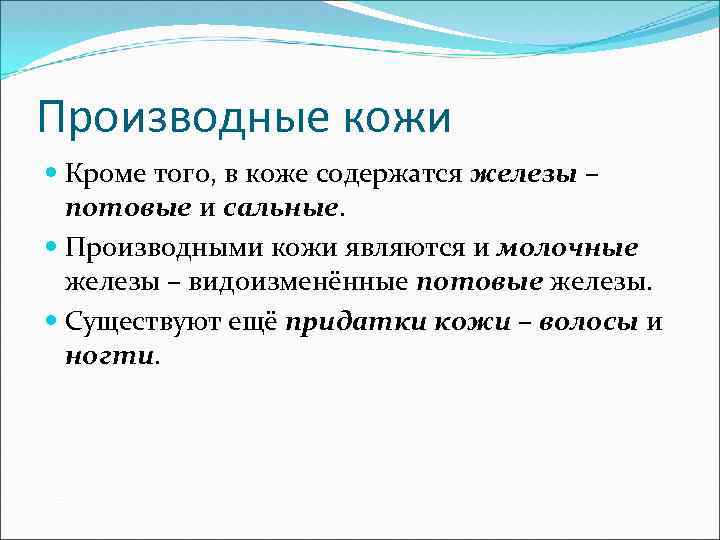 Производные кожи Кроме того, в коже содержатся железы – потовые и сальные. Производными кожи