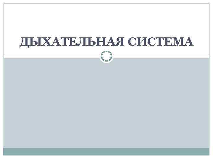 ДЫХАТЕЛЬНАЯ СИСТЕМА 