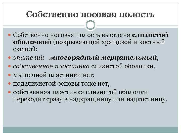 Собственно носовая полость выстлана слизистой оболочкой (покрывающей хрящевой и костный скелет): эпителий - многорядный