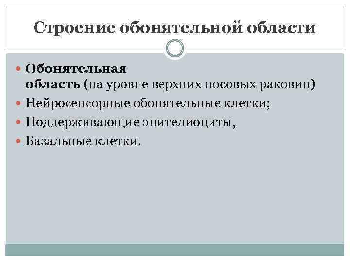 Строение обонятельной области Обонятельная область (на уровне верхних носовых раковин) Нейросенсорные обонятельные клетки; Поддерживающие