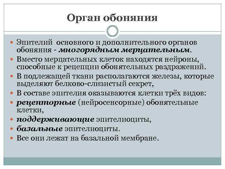Орган обоняния Эпителий основного и дополнительного органов обоняния - многорядным мерцательным. Вместо мерцательных клеток
