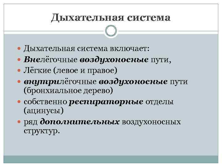 Дыхательная система включает: Внелёгочные воздухоносные пути, Лёгкие (левое и правое) внутрилёгочные воздухоносные пути (бронхиальное
