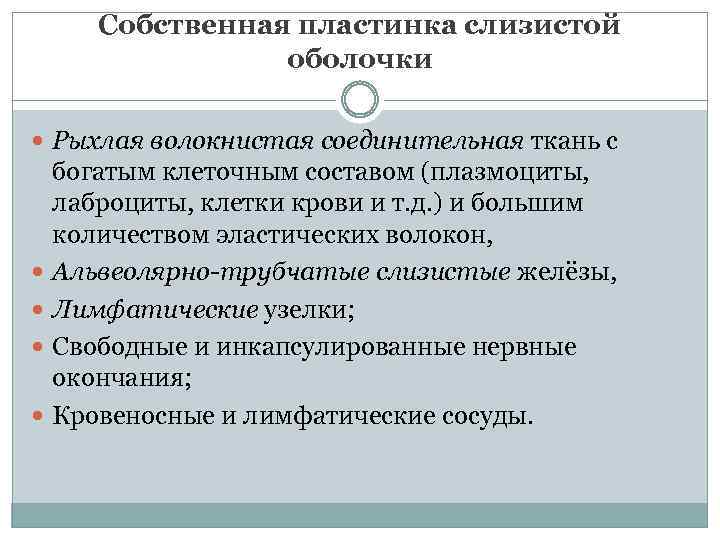 Собственная пластинка слизистой оболочки Рыхлая волокнистая соединительная ткань с богатым клеточным составом (плазмоциты, лаброциты,