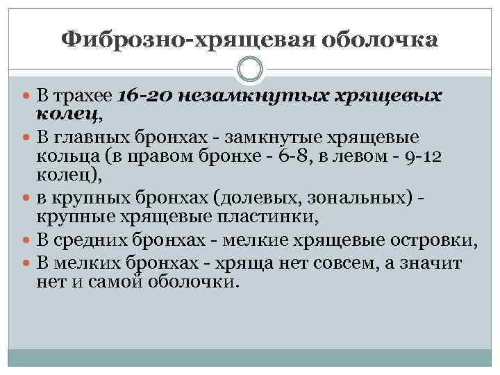 Фиброзно хрящевая оболочка имеется в стенке всех воздухоносных путей кроме