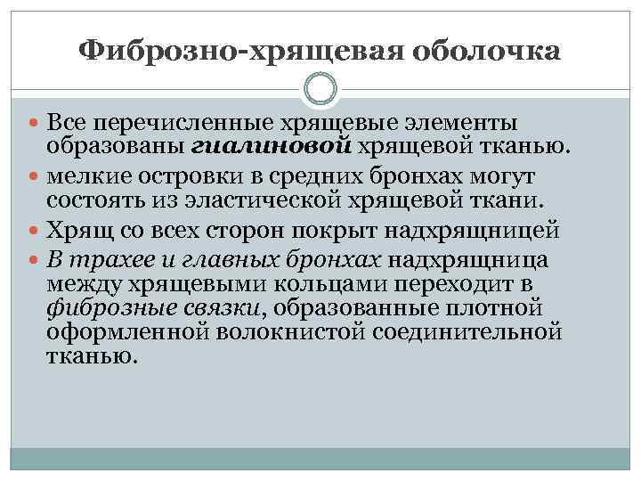 Фиброзно-хрящевая оболочка Все перечисленные хрящевые элементы образованы гиалиновой хрящевой тканью. мелкие островки в средних