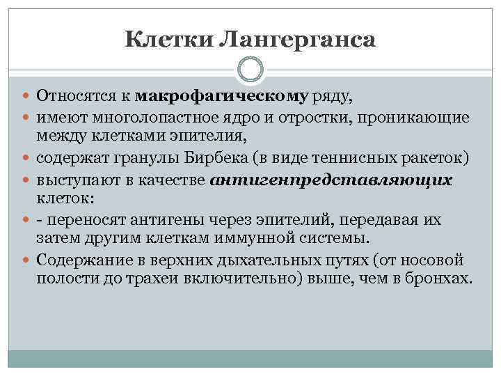 Клетки Лангерганса Относятся к макрофагическому ряду, имеют многолопастное ядро и отростки, проникающие между клетками