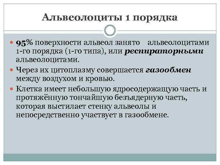 Альвеолоциты 1 порядка 95% поверхности альвеол занято альвеолоцитами 1 -го порядка (1 -го типа),