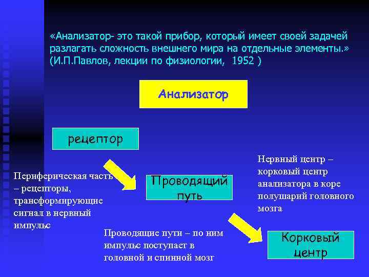  «Анализатор- это такой прибор, который имеет своей задачей разлагать сложность внешнего мира на