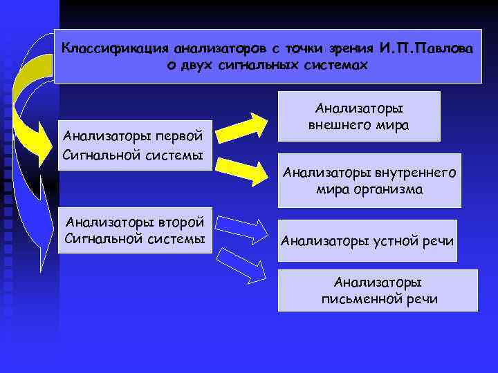 Классификация анализаторов с точки зрения И. П. Павлова о двух сигнальных системах Анализаторы первой
