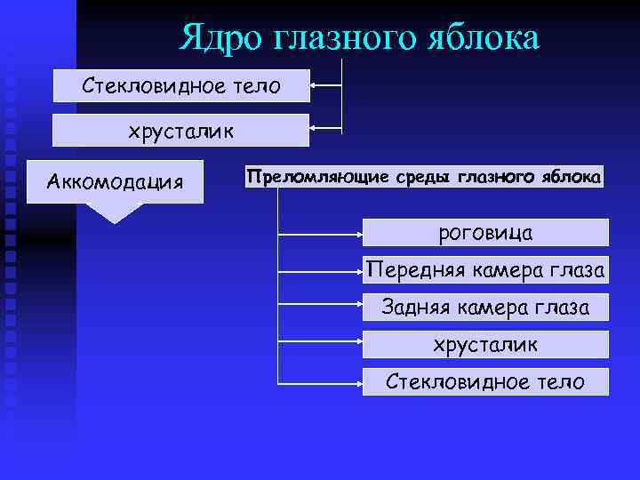 Ядро глазного яблока Стекловидное тело хрусталик Аккомодация Преломляющие среды глазного яблока роговица Передняя камера