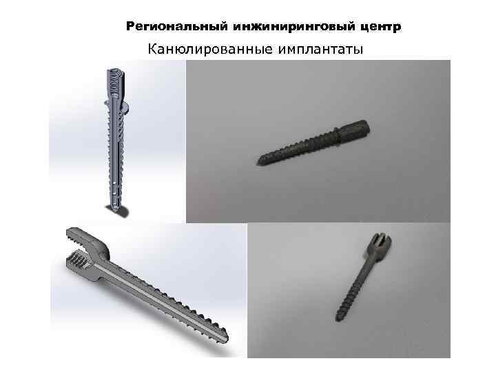 Региональный инжиниринговый центр Канюлированные имплантаты 