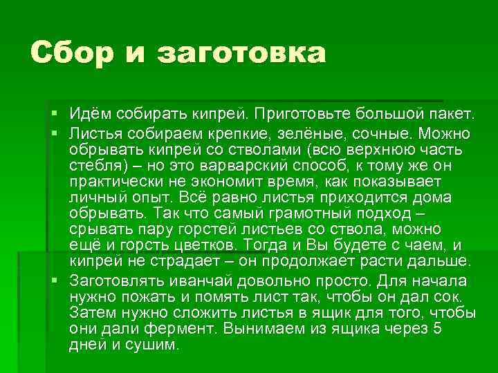 Сбор и заготовка § Идём собирать кипрей. Приготовьте большой пакет. § Листья собираем крепкие,