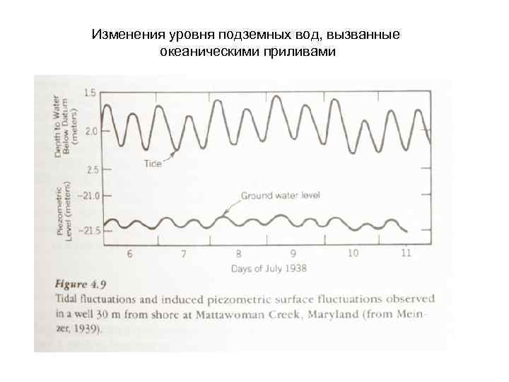 Изменения уровня подземных вод, вызванные океаническими приливами 
