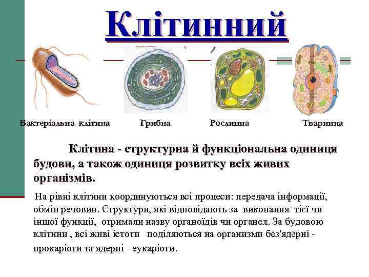 Клітинний Бактеріальна клітина Грибна Рослинна Тваринна Клітина - структурна й функціональна одиниця будови, а