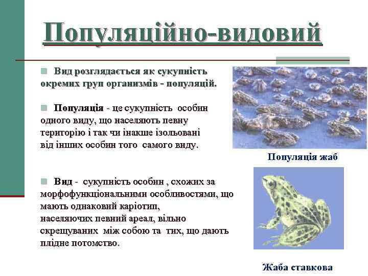 Популяційно-видовий n Вид розглядається як сукупність окремих груп организмів - популяцій. n Популяція -