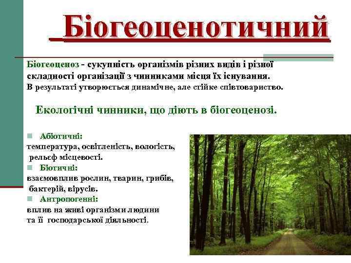 Біогеоценотичний Біогеоценоз - сукупність організмів різних видів і різної складності організації з чинниками місця