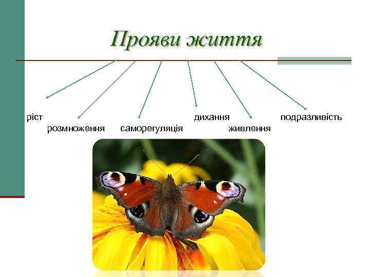 Прояви життя ріст розмноження саморегуляція дихання живлення подразливість 