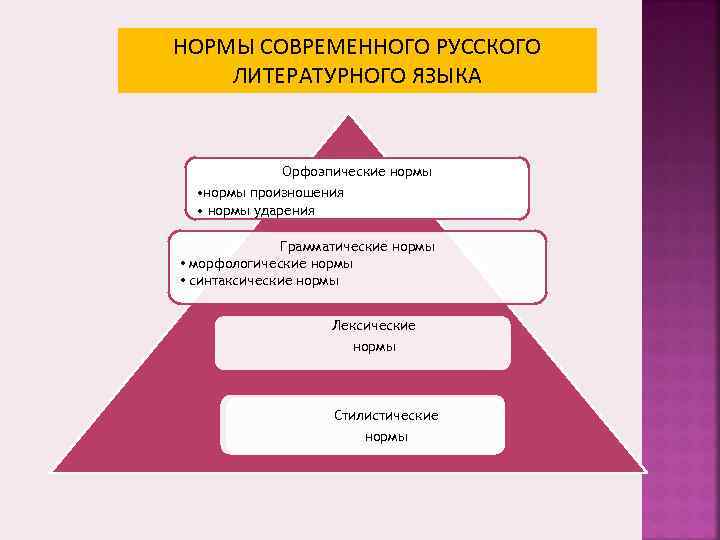 Нормы литературного языка задания. Нормы современного русского литературного языка. Морфологические нормы современного русского литературного языка. Виды норм современного русского литературного языка. Нормы современного литературного языка.