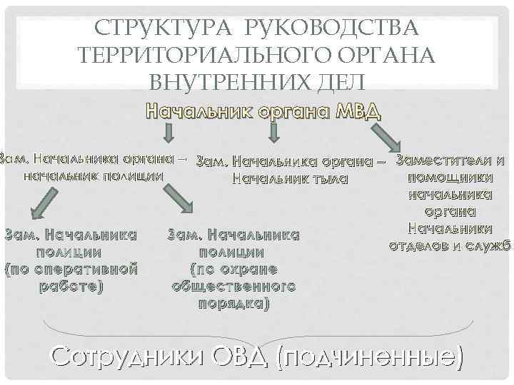 СТРУКТУРА РУКОВОДСТВА ТЕРРИТОРИАЛЬНОГО ОРГАНА ВНУТРЕННИХ ДЕЛ Начальник органа МВД Зам. Начальника органа – Заместители
