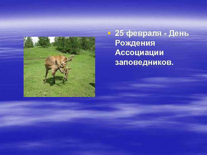 § 25 февраля - День Рождения Ассоциации заповедников. 