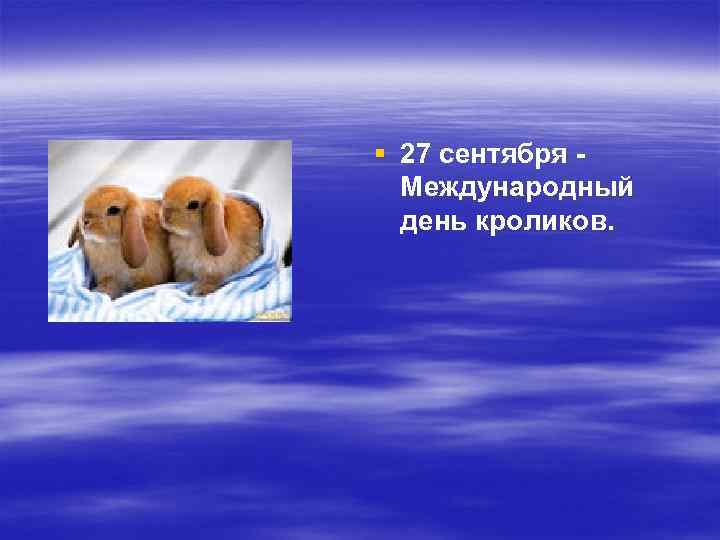 § 27 сентября Международный день кроликов. 