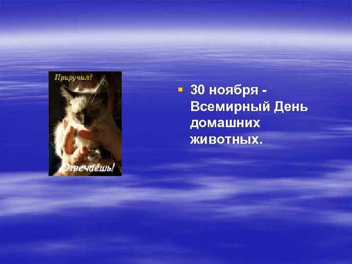 § 30 ноября Всемирный День домашних животных. 