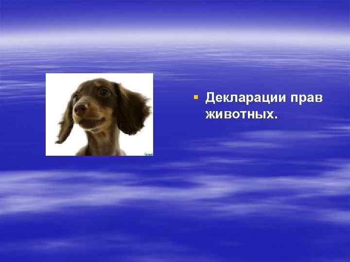 § Декларации прав животных. 