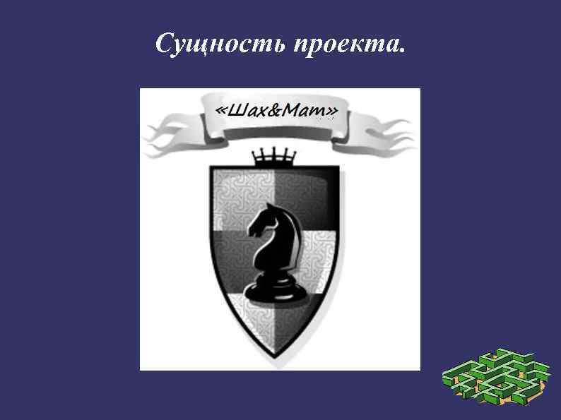 Сущность проекта. 