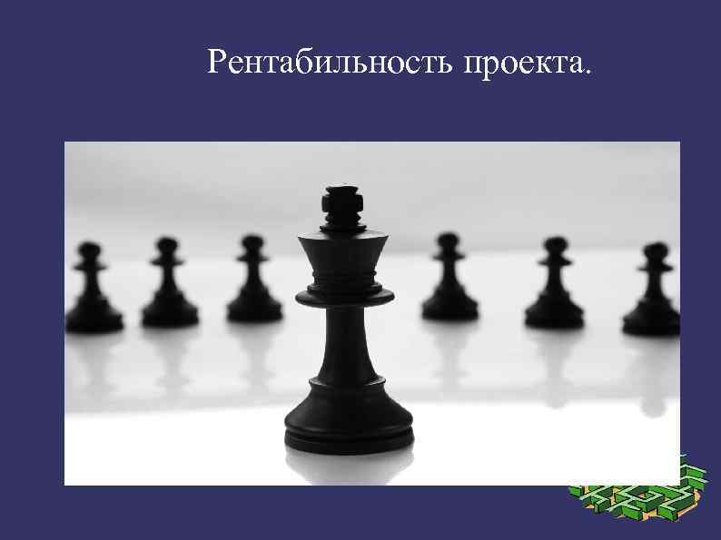  Рентабильность проекта. 