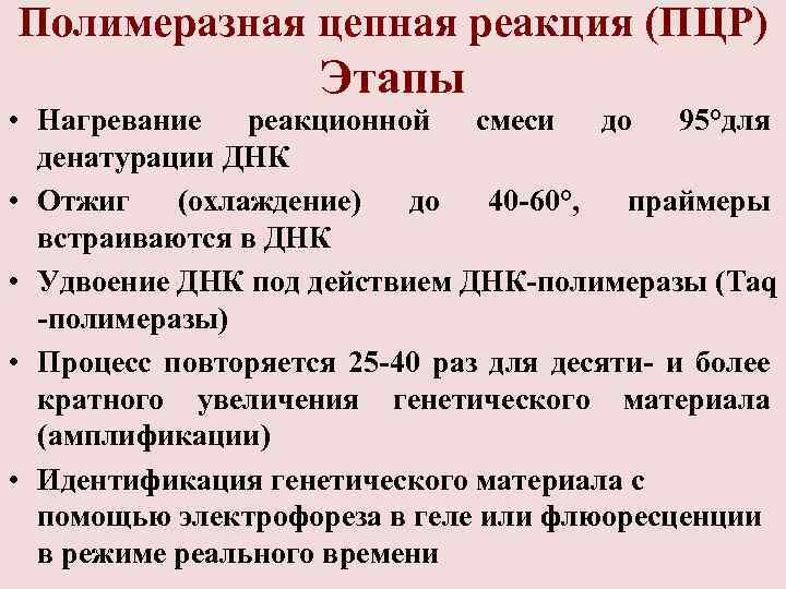 Полимеразная цепная реакция (ПЦР)     Этапы • Нагревание реакционной смеси до