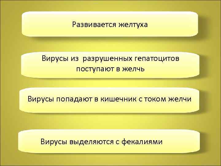 Развивается желтуха Вирусы из разрушенных гепатоцитов поступают в желчь Вирусы попадают в кишечник с