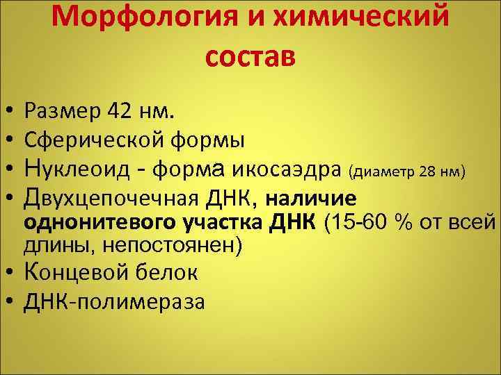 Морфология и химический состав • • Размер 42 нм. Сферической формы Нуклеоид - форма