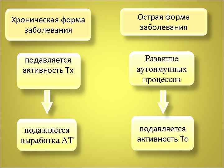 Хроническая форма заболевания Острая форма заболевания подавляется активность Тх Развитие аутоимунных процессов подавляется выработка