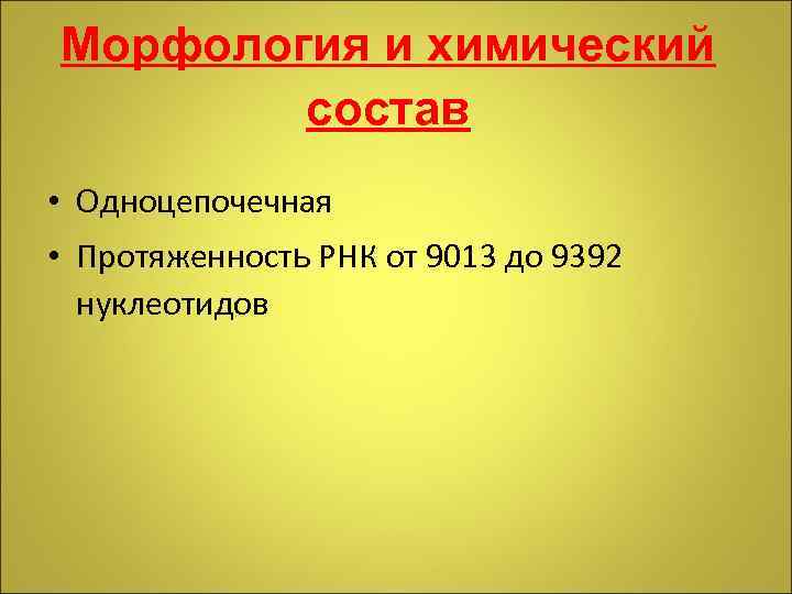 Морфология и химический состав • Одноцепочечная • Протяженность РНК от 9013 до 9392 нуклеотидов