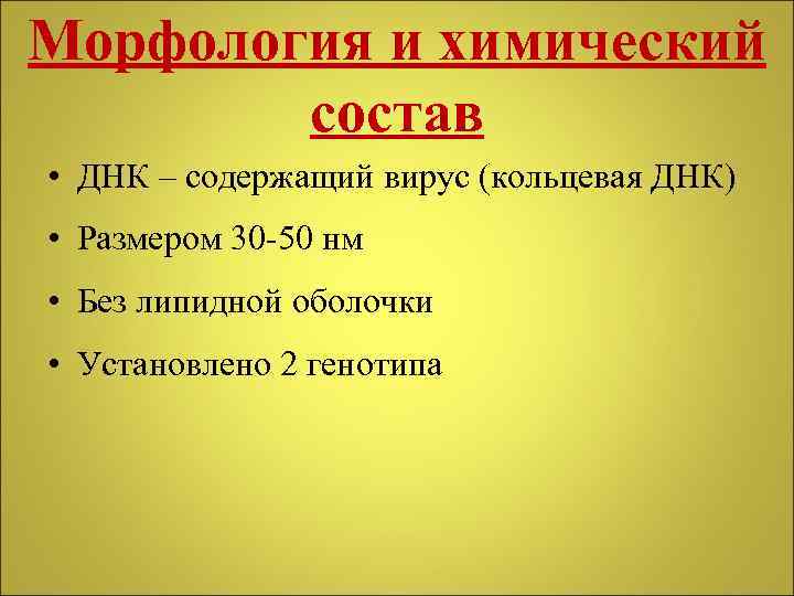 Морфология и химический состав • ДНК – содержащий вирус (кольцевая ДНК) • Размером 30