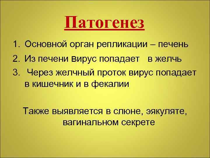 Патогенез 1. Основной орган репликации – печень 2. Из печени вирус попадает в желчь