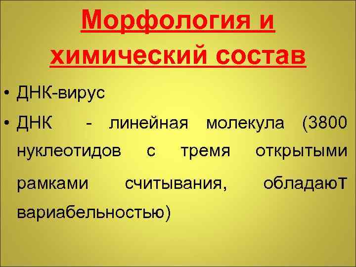 Морфология и химический состав • ДНК-вирус • ДНК - линейная молекула (3800 нуклеотидов рамками