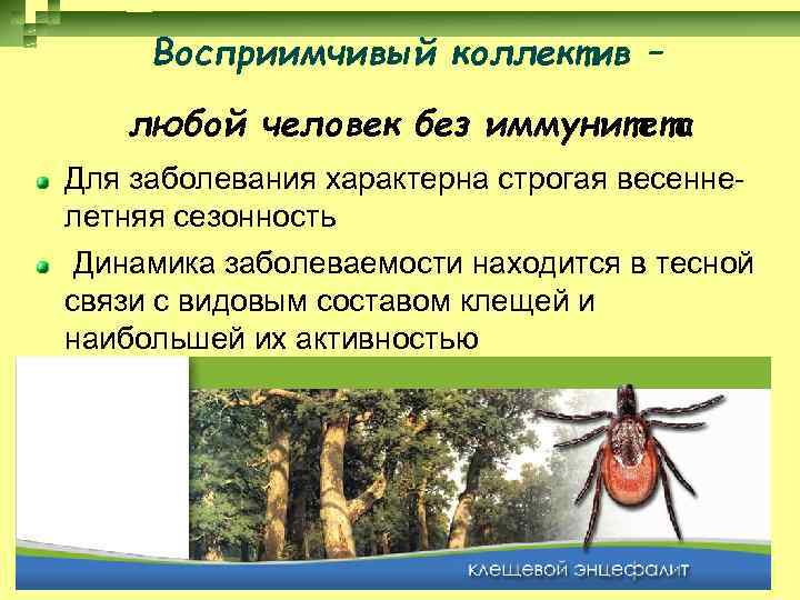 Восприимчивый коллектив – любой человек без иммунитета Для заболевания характерна строгая весеннелетняя сезонность Динамика