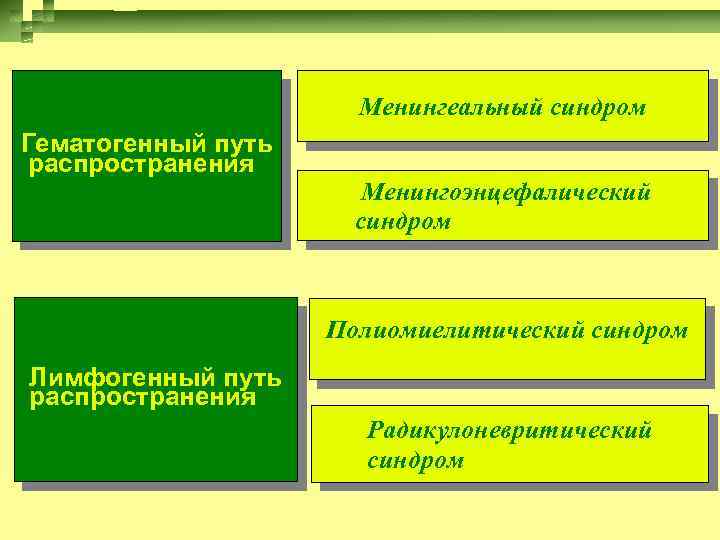 Менингеальный синдром Гематогенный путь распространения Менингоэнцефалический синдром Полиомиелитический синдром Лимфогенный путь распространения Радикулоневритический синдром