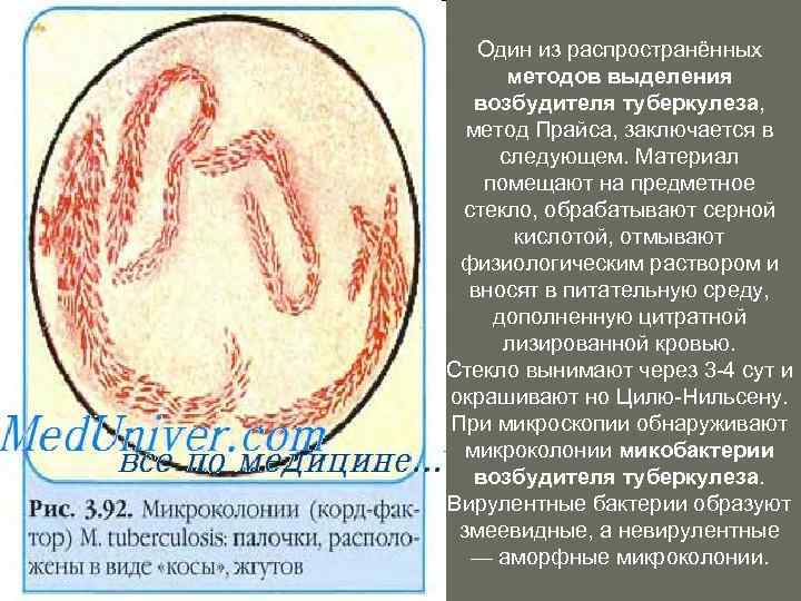 Один из распространённых методов выделения возбудителя туберкулеза, метод Прайса, заключается в следующем. Материал помещают