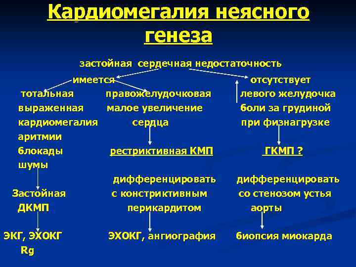 Кардиомегалия неясного генеза застойная сердечная недостаточность имеется тотальная правожелудочковая выраженная малое увеличение кардиомегалия сердца