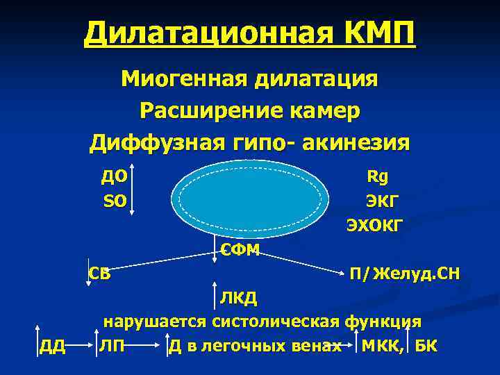 Дилатационная КМП Миогенная дилатация Расширение камер Диффузная гипо- акинезия ДО SO Rg ЭКГ ЭХОКГ