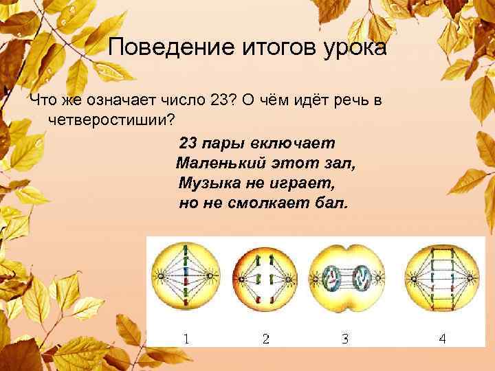  Поведение итогов урока Что же означает число 23? О чём идёт речь в