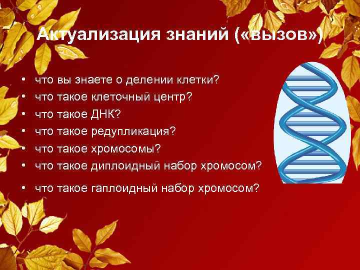  Актуализация знаний ( «вызов» ) • что вы знаете о делении клетки? •