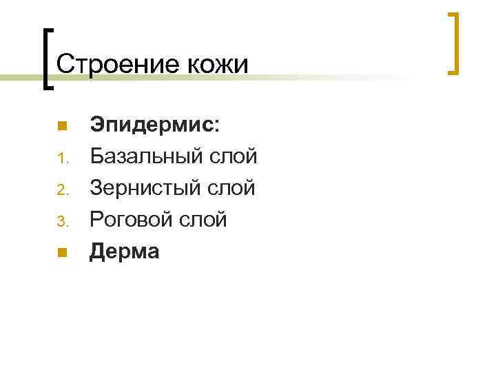 Строение кожи n 1. 2. 3. n Эпидермис: Базальный слой Зернистый слой Роговой слой