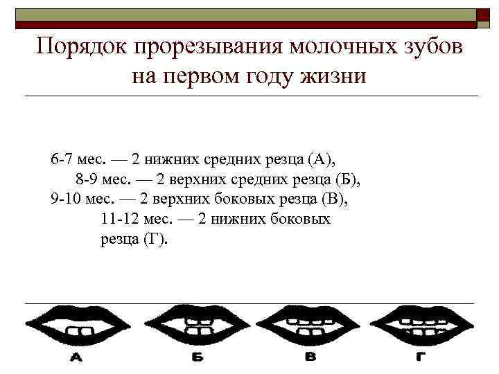 Порядок прорезывания молочных зубов на первом году жизни 6 -7 мес. — 2 нижних