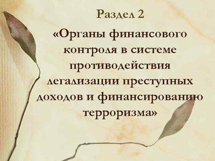 Раздел 2 «Органы финансового контроля в системе противодействия легализации преступных доходов и финансированию терроризма»