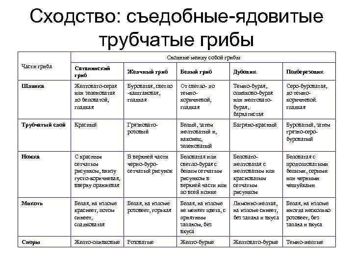  Сходство: съедобные-ядовитые трубчатые грибы Сходные между собой грибы Части гриба Сатанинский Желчный гриб